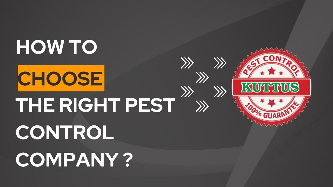 Kuttus pest Control
